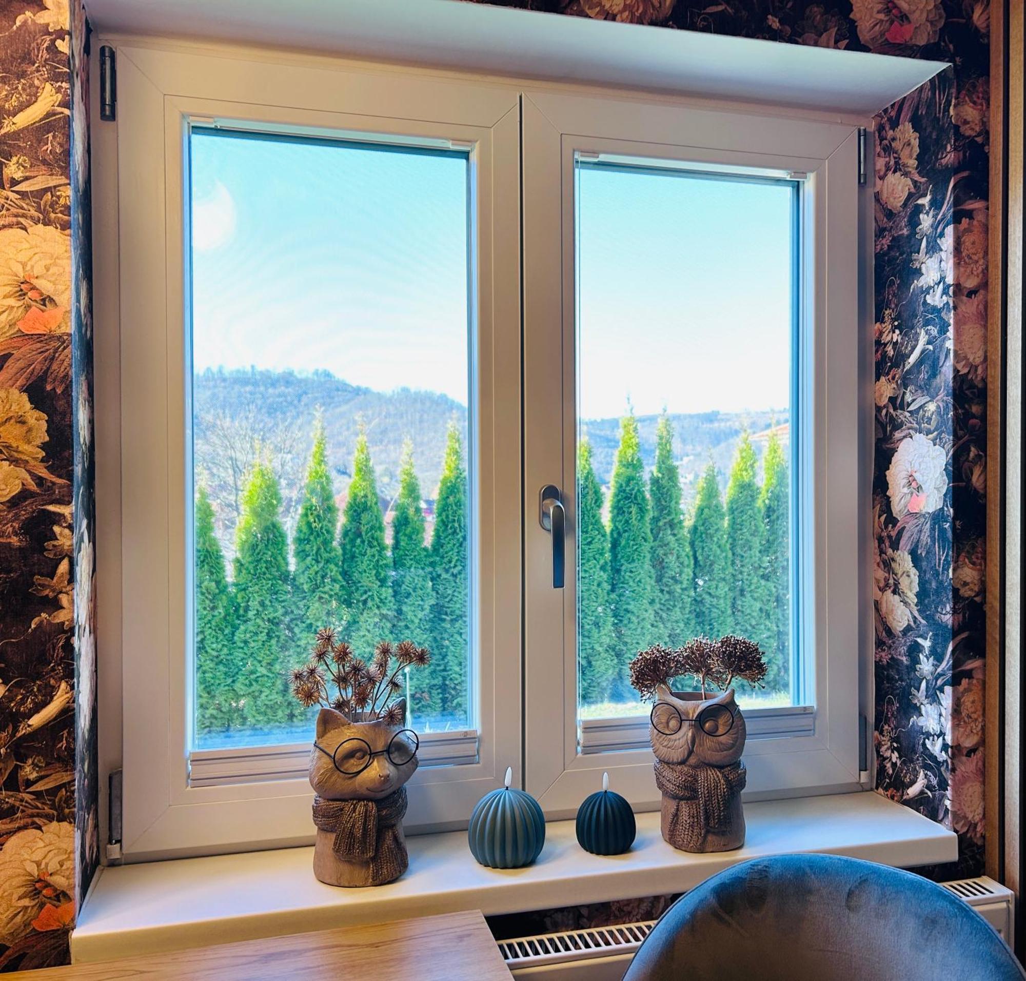 Wohnung Goethe'S Bergblick Bad Harzburg Kültér fotó